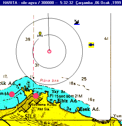 Image11.gif (19855 bytes)